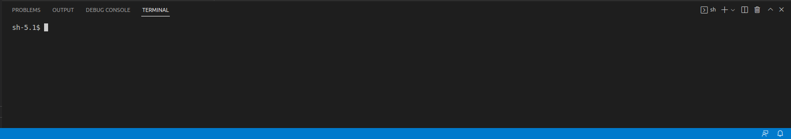 為什么我的 vscode 中的終端顯示看起來不一樣?
