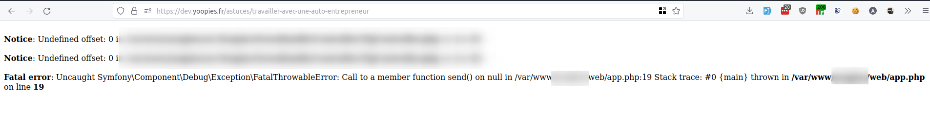 Symfony 沒有給出生產中例外的完整痕跡