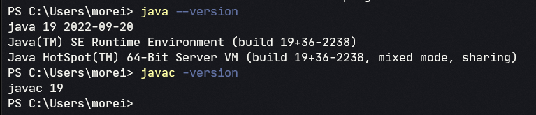 在 Windows 11 上安裝 Maven 不起作用