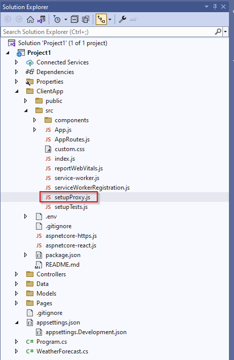 Asp.Net React 專案模板 Google 身份驗證不起作用