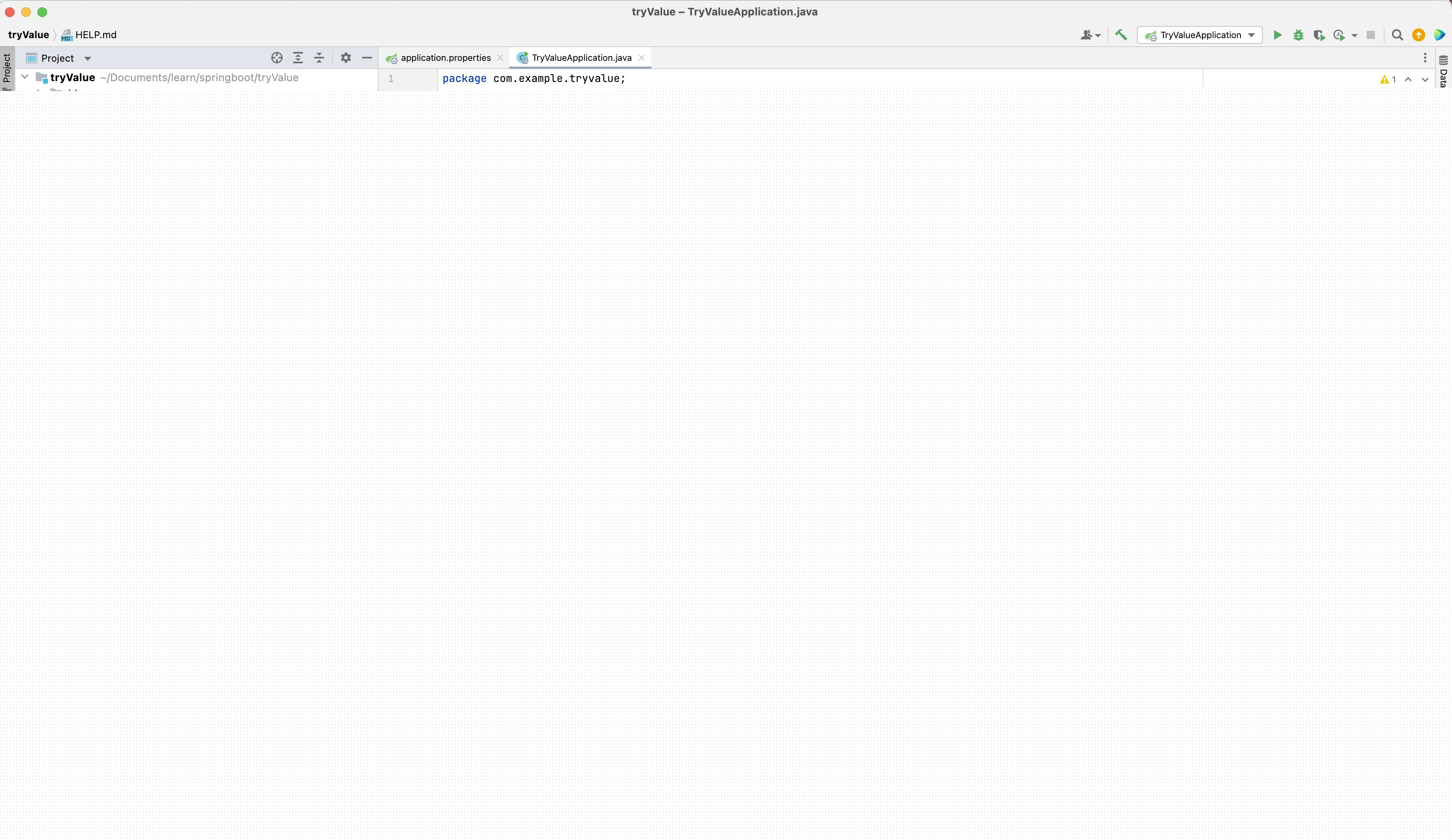 從 Springboot 中的 application.properties 檔案中獲取屬性時獲取空值