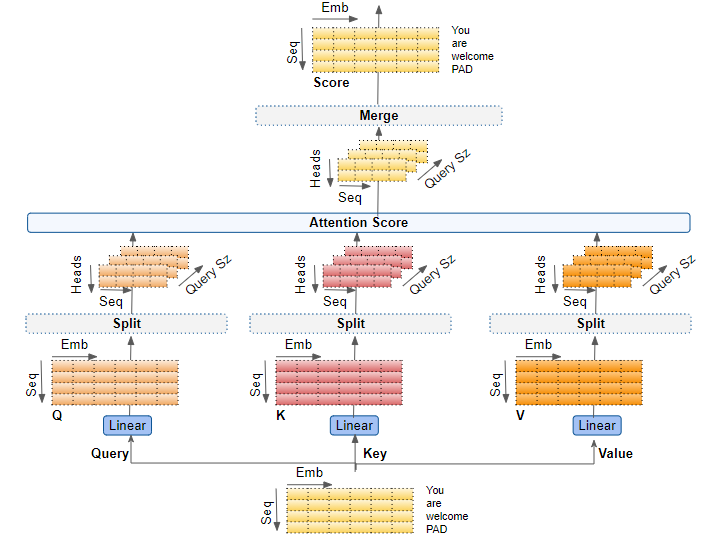 了解 Tensorflow 的 MultiHeadAttention 層中的維度