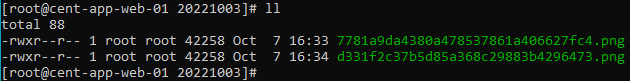 PHP - chmod(): 不允許操作