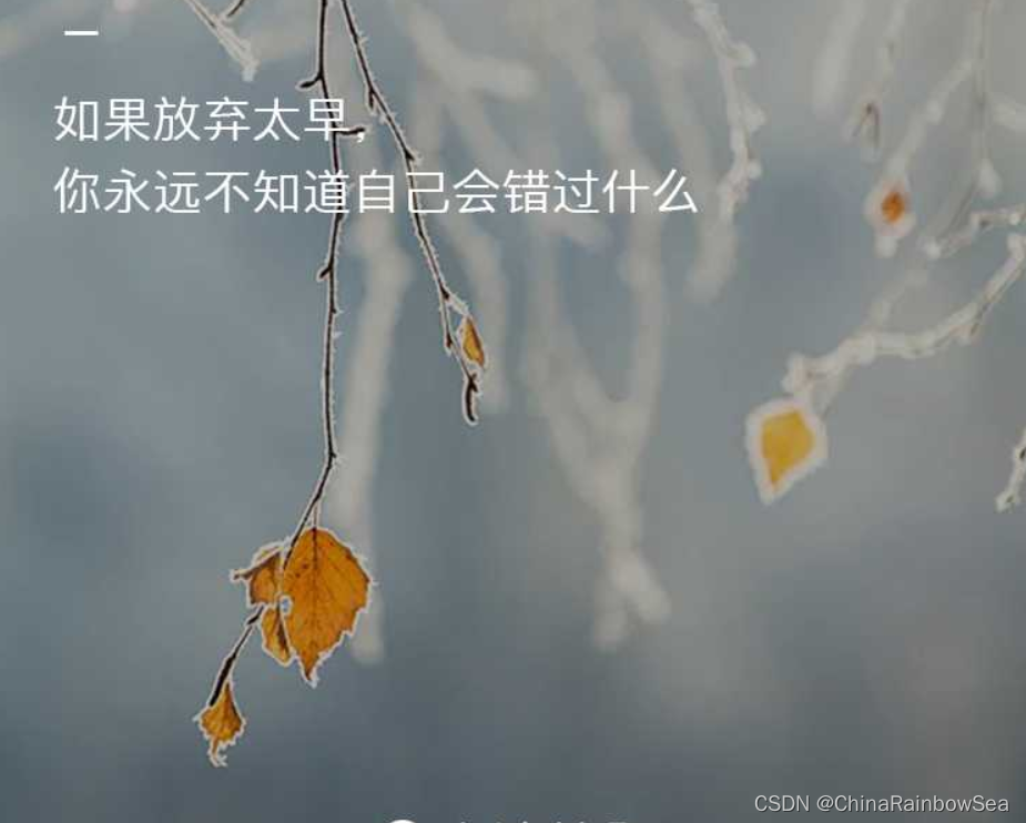在這里插入圖片描述