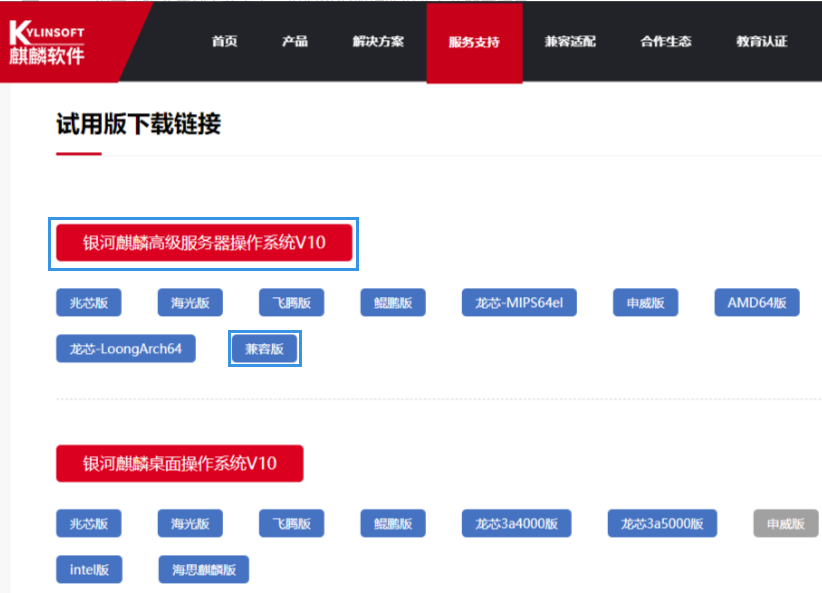 WeiyiGeek.官方下載銀河麒麟高級服務器作業系統V10_iso安裝包圖