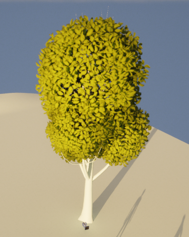 image-20230529191955806
